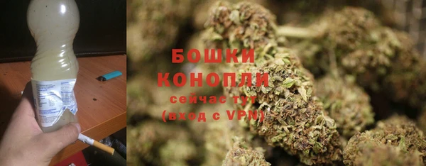 прущие грибы Аркадак