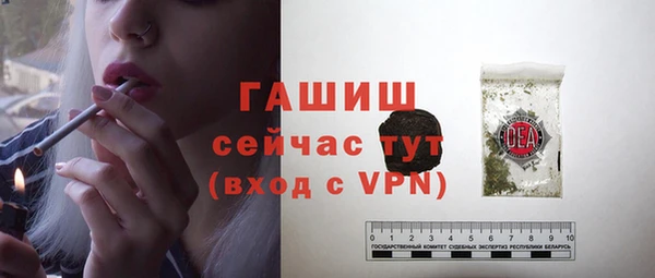 прущие грибы Аркадак