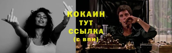 прущие грибы Аркадак