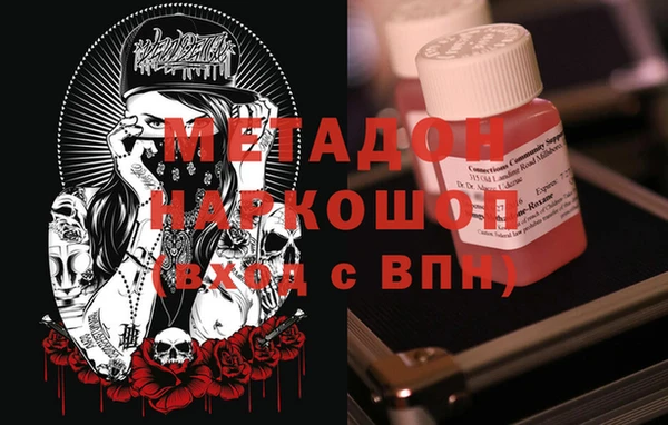 прущие грибы Аркадак