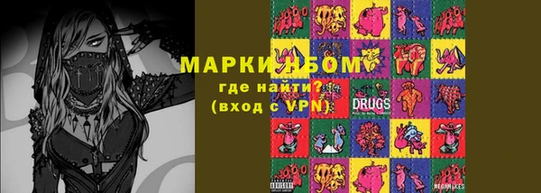прущие грибы Аркадак