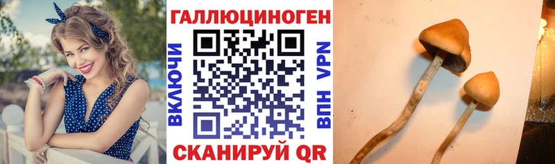 Псилоцибиновые грибы MAGIC MUSHROOMS  omg онион  Новохопёрск 